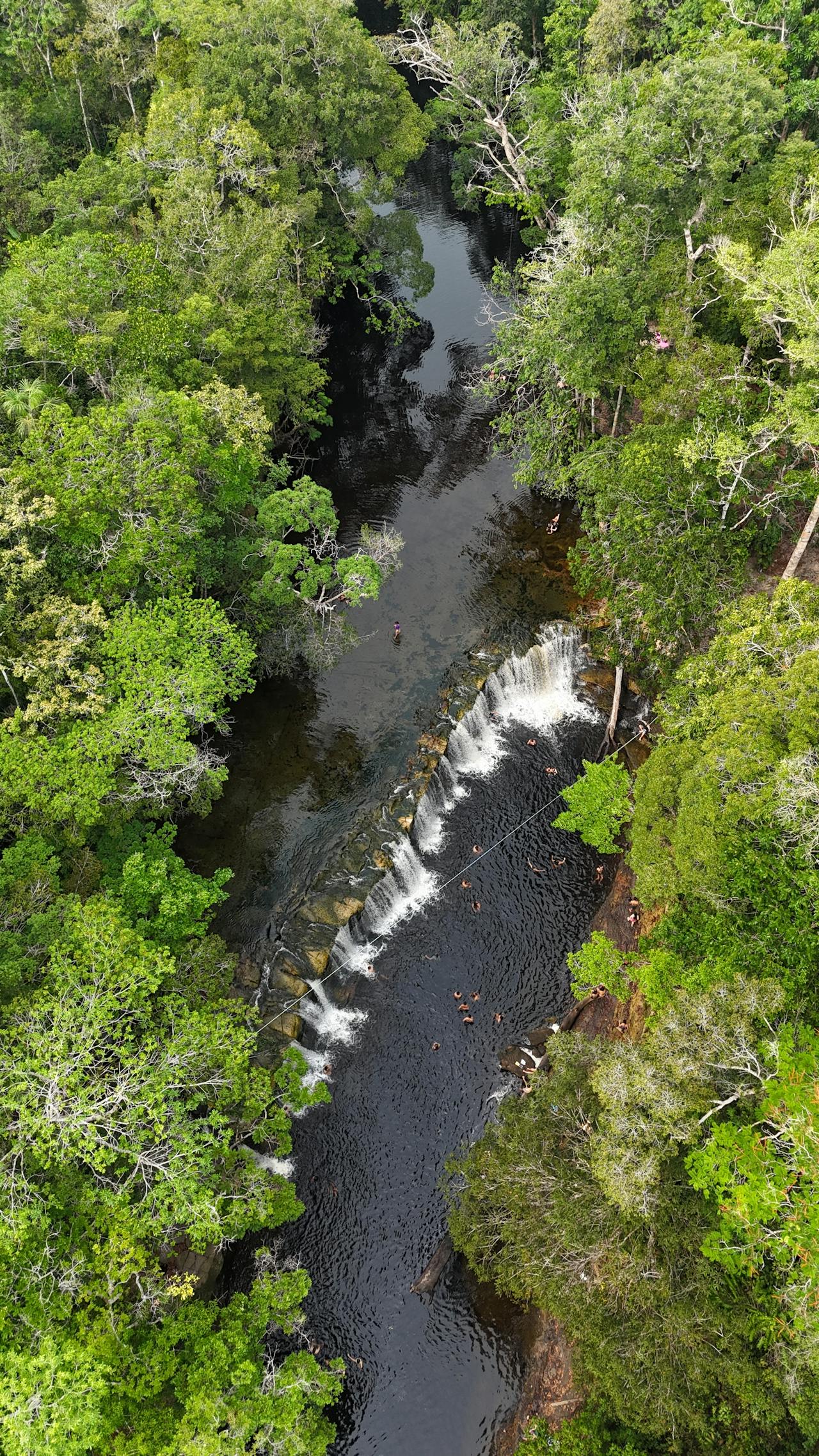 Amazônia vista aérea com floresta e rios no Brasil