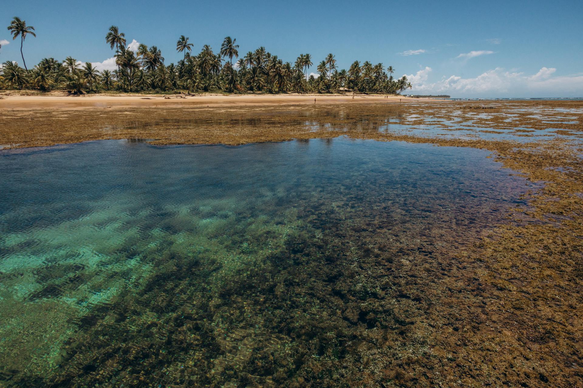 Península de Maraú, na Bahia, com praia e paisagem litorânea