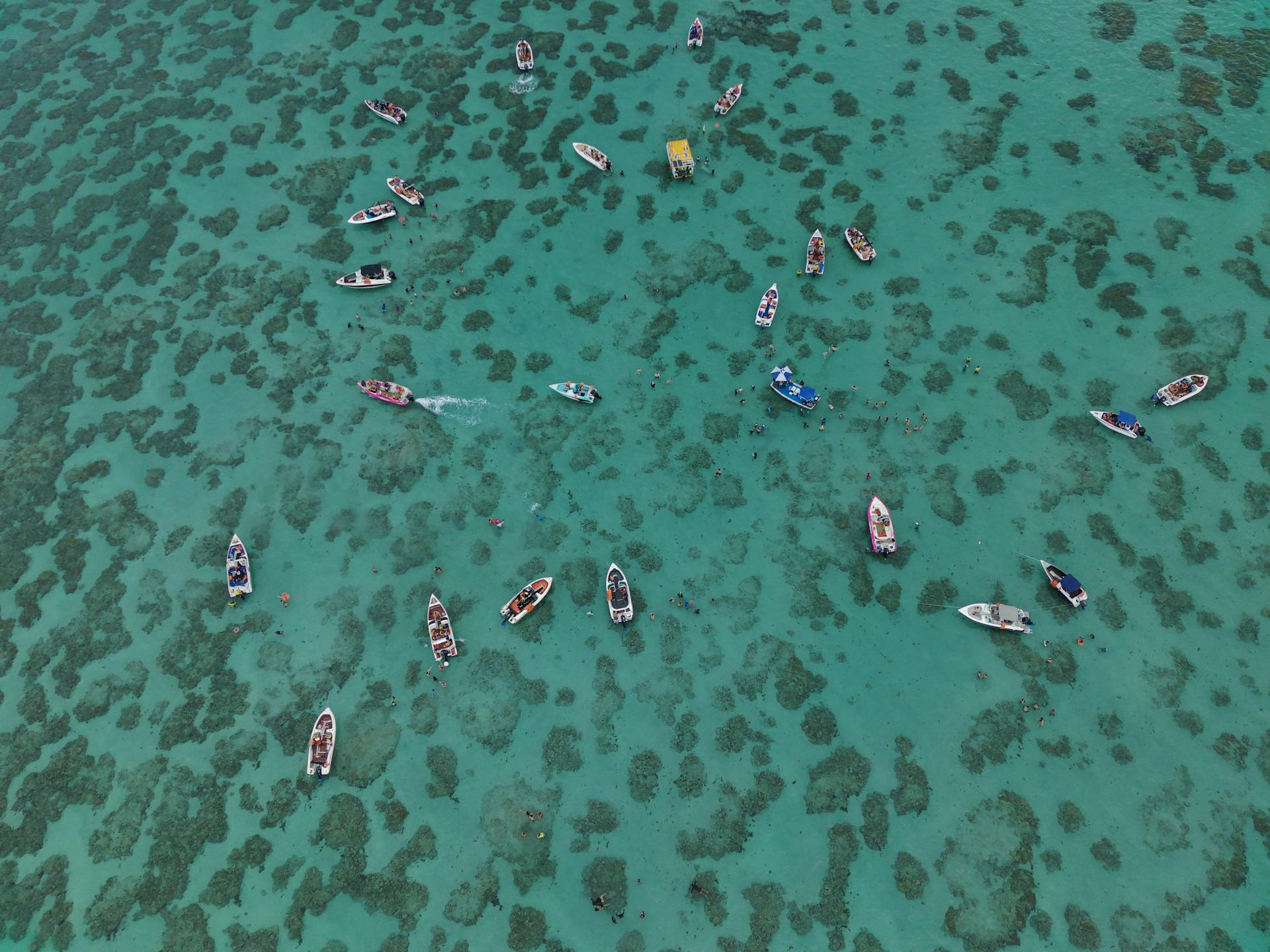 Maracajaú