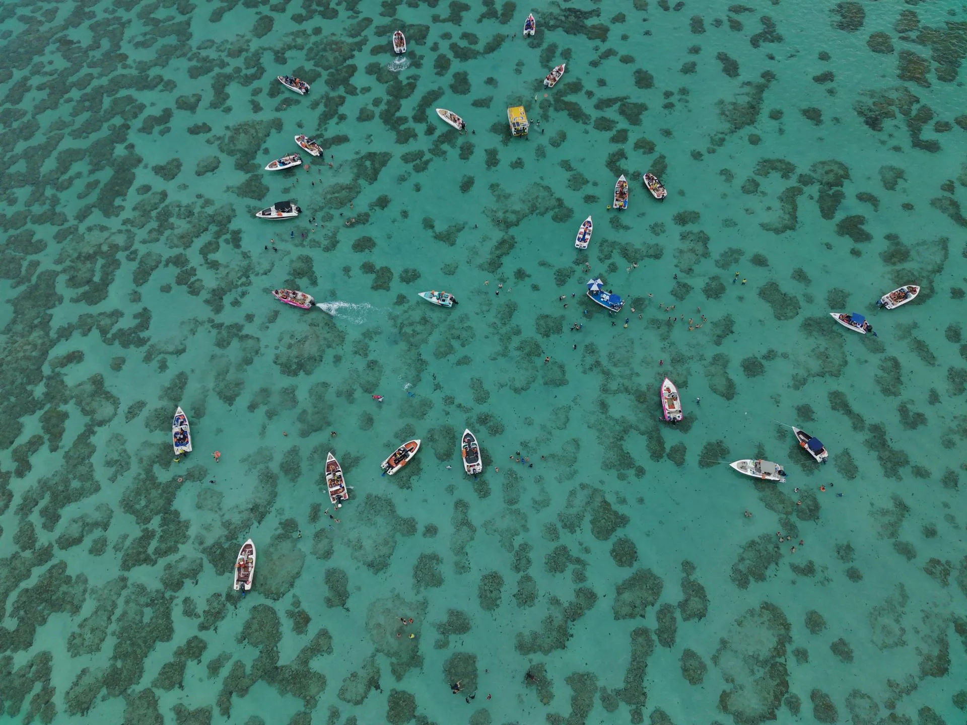 Maracajaú